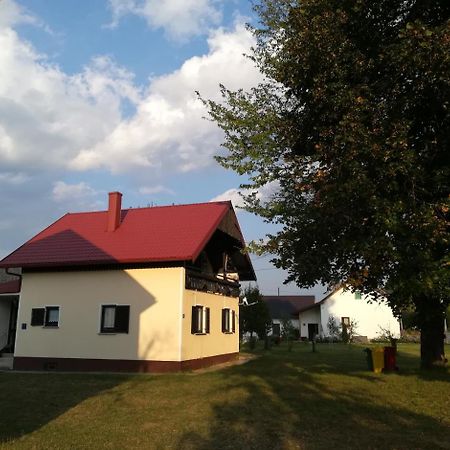Villa Natali Donji Babin Potok Εξωτερικό φωτογραφία