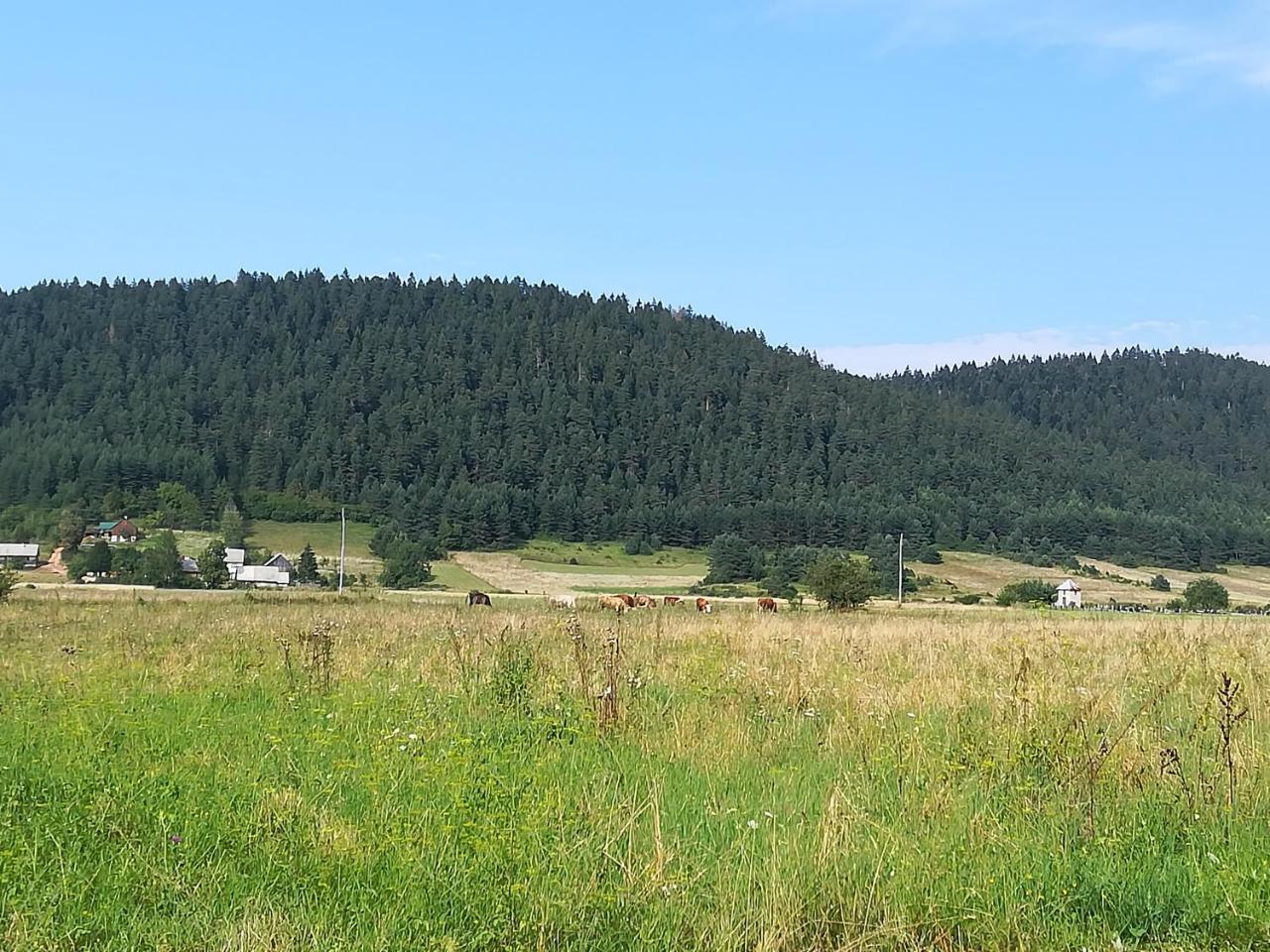 Villa Natali Donji Babin Potok Εξωτερικό φωτογραφία