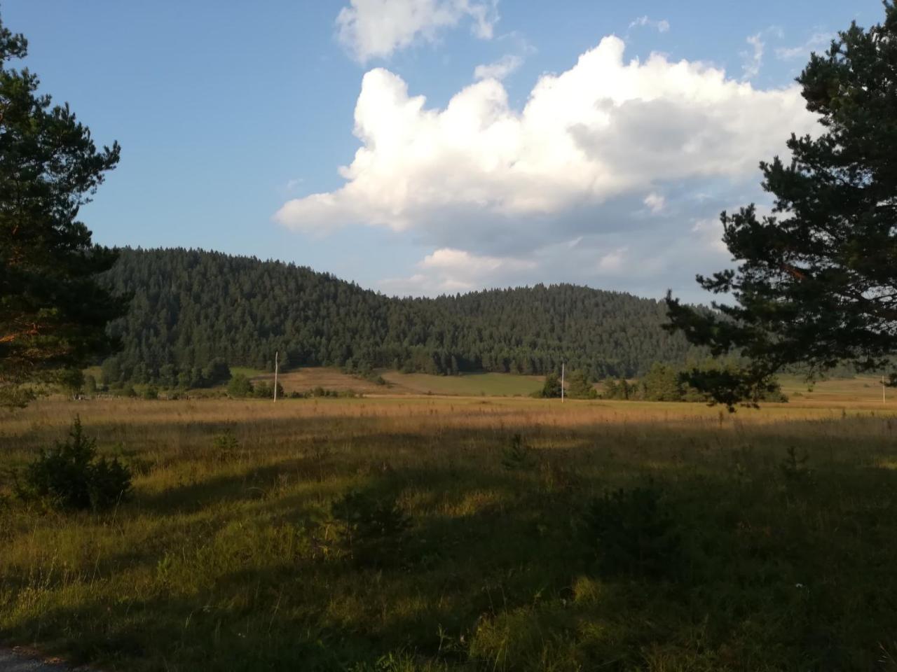 Villa Natali Donji Babin Potok Εξωτερικό φωτογραφία