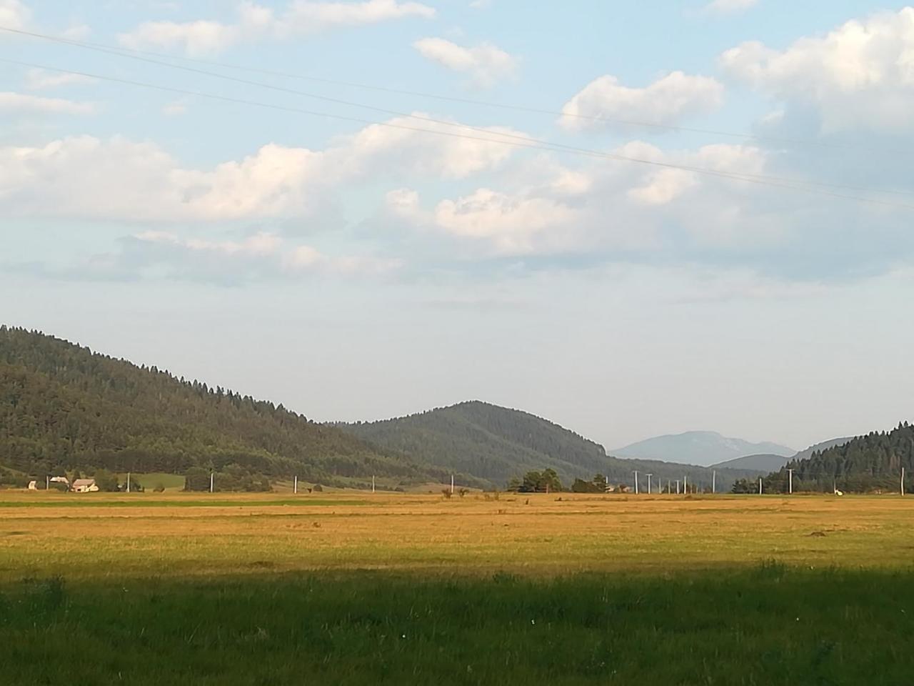 Villa Natali Donji Babin Potok Εξωτερικό φωτογραφία