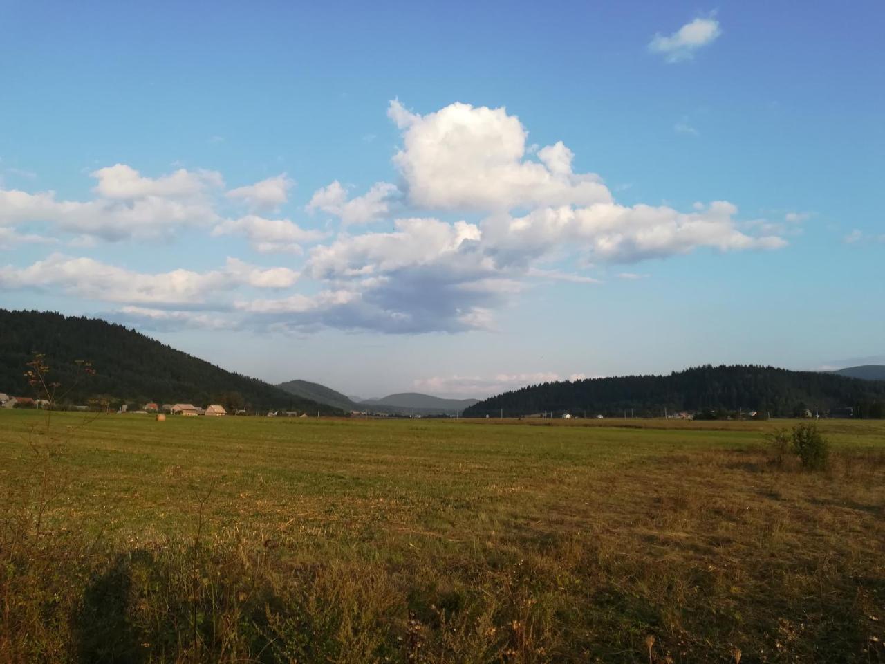 Villa Natali Donji Babin Potok Εξωτερικό φωτογραφία